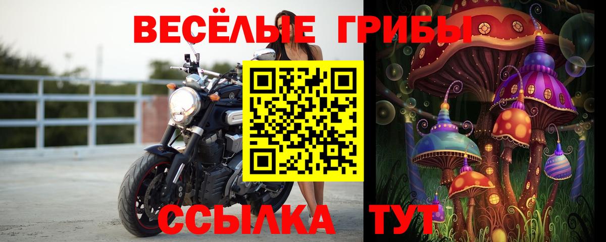 Галлюциногенные грибы Cubensis Мценск